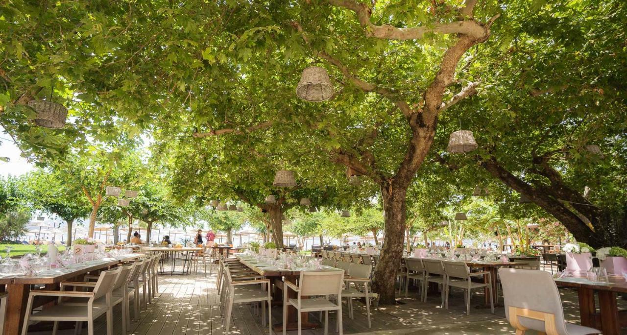 Zoe Seaside Resort Gialova Eksteriør billede